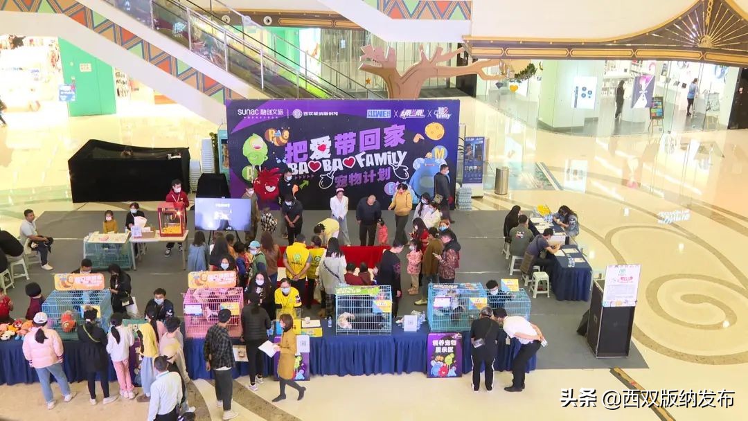 把爱带回家丨让领养代替购买，给它们一个温暖的家