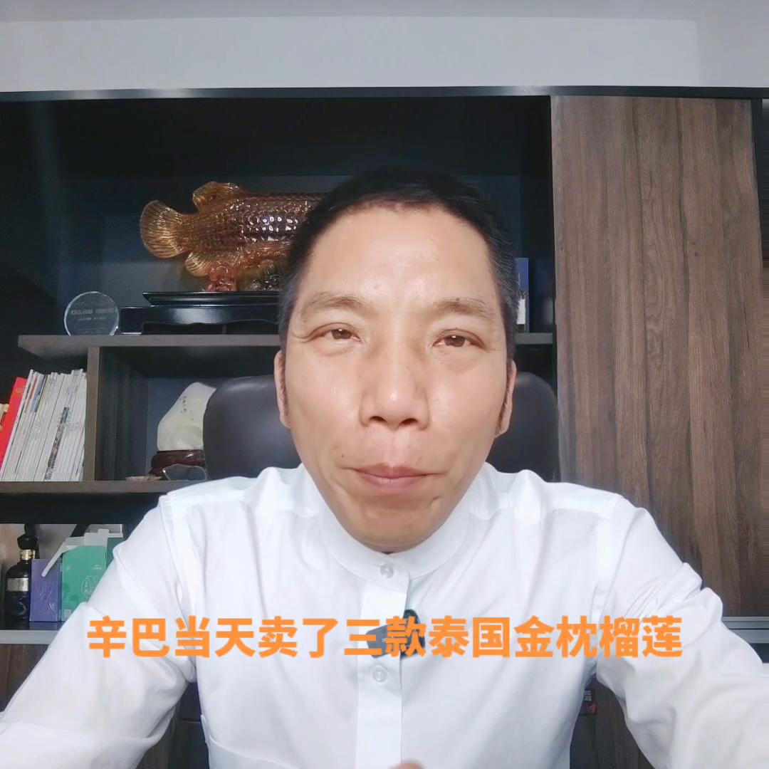 辛巴卖榴莲卖了多少吨榴莲 (辛巴直播卖榴莲开榴莲回放)