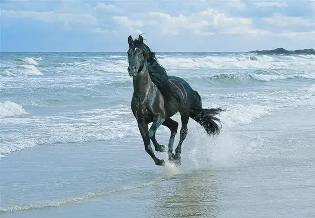 青峰杂谈：人一生的四重自由，世人全得之者有几？