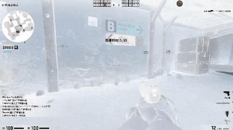 人类玩家与闪光弹斗争,人类闪光弹