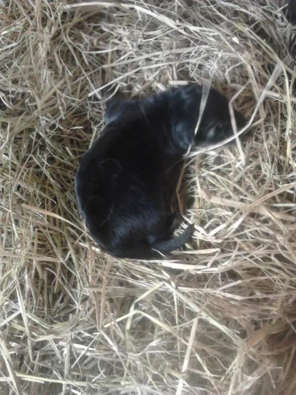 世上只有妈妈好爸爸也不错,世上只有妈妈好爸爸不好吗