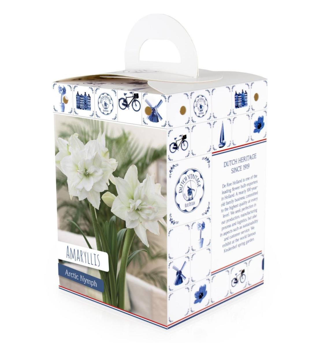 客单价高的绿植,最流行的球根花卉