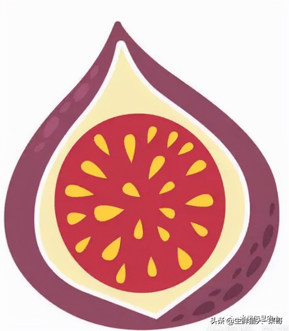 在水果中浆果是分哪几种,水果分类浆果