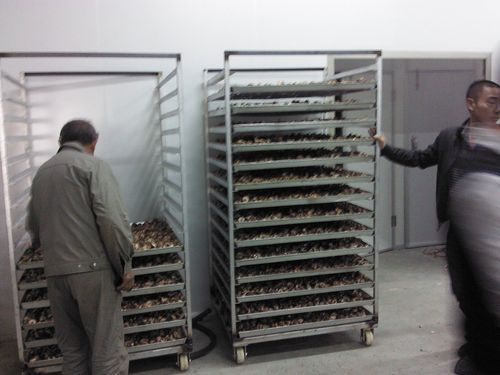 大型节能菊花专用烘干设备,开封金银花空气能烘干机设备