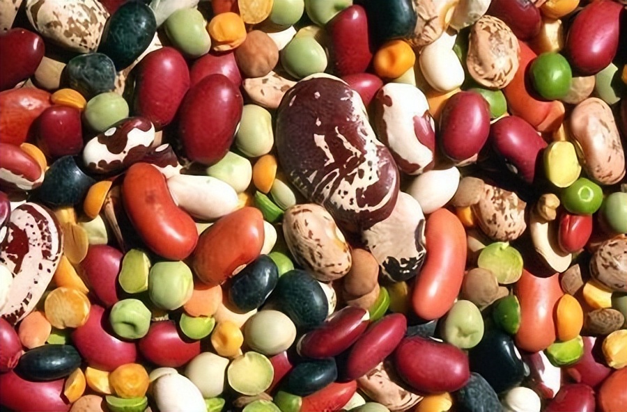 阳了之后可以吃发物吗,阳过之后哪些食物是发物不能吃