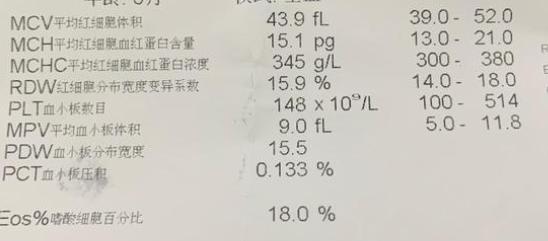 猫瘟最有效的治疗办法,猫咪得了猫瘟在家怎么治疗