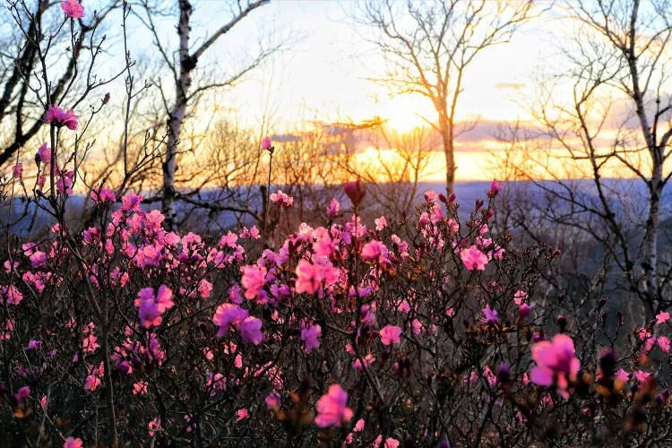 春节不应该买的食物,春节期间这些东西不要买