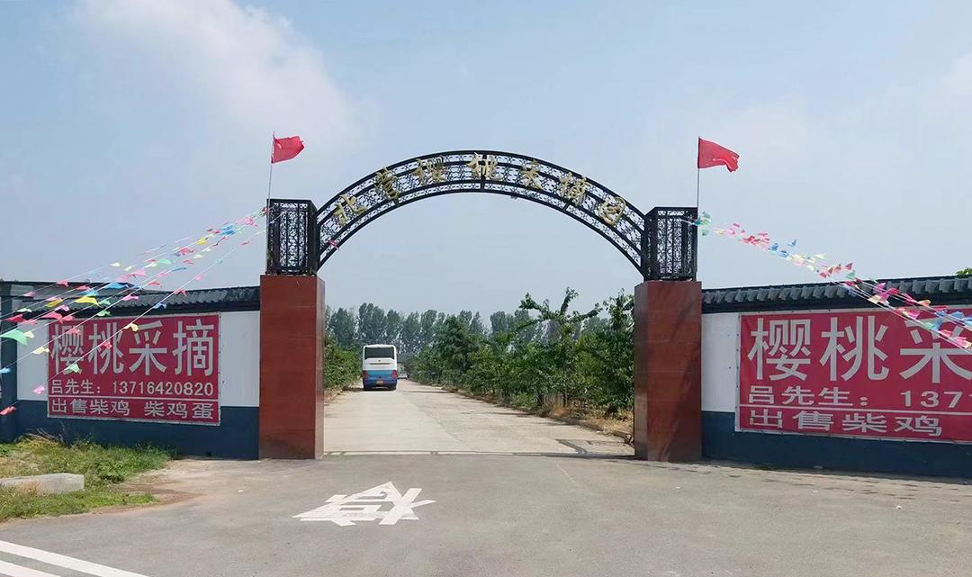 顺义喜邦樱桃采摘园,顺义千亩樱桃采摘园视频