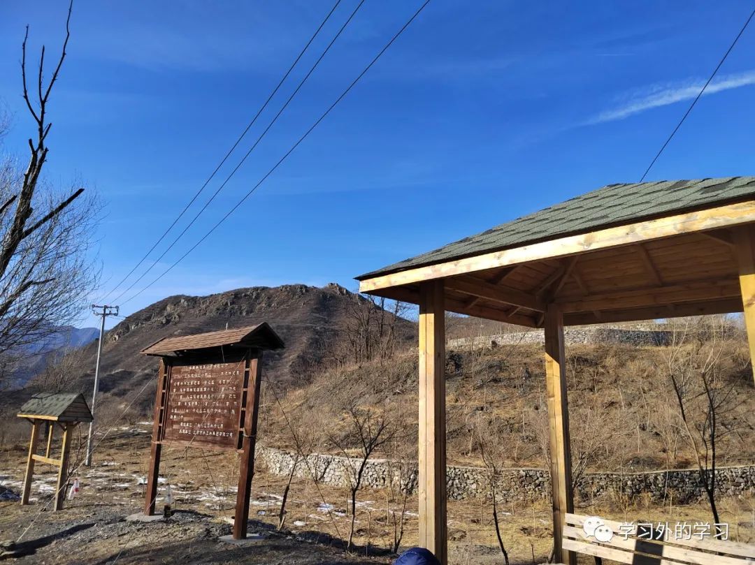 去哪里挖黄铁矿,如何挖黄铁矿