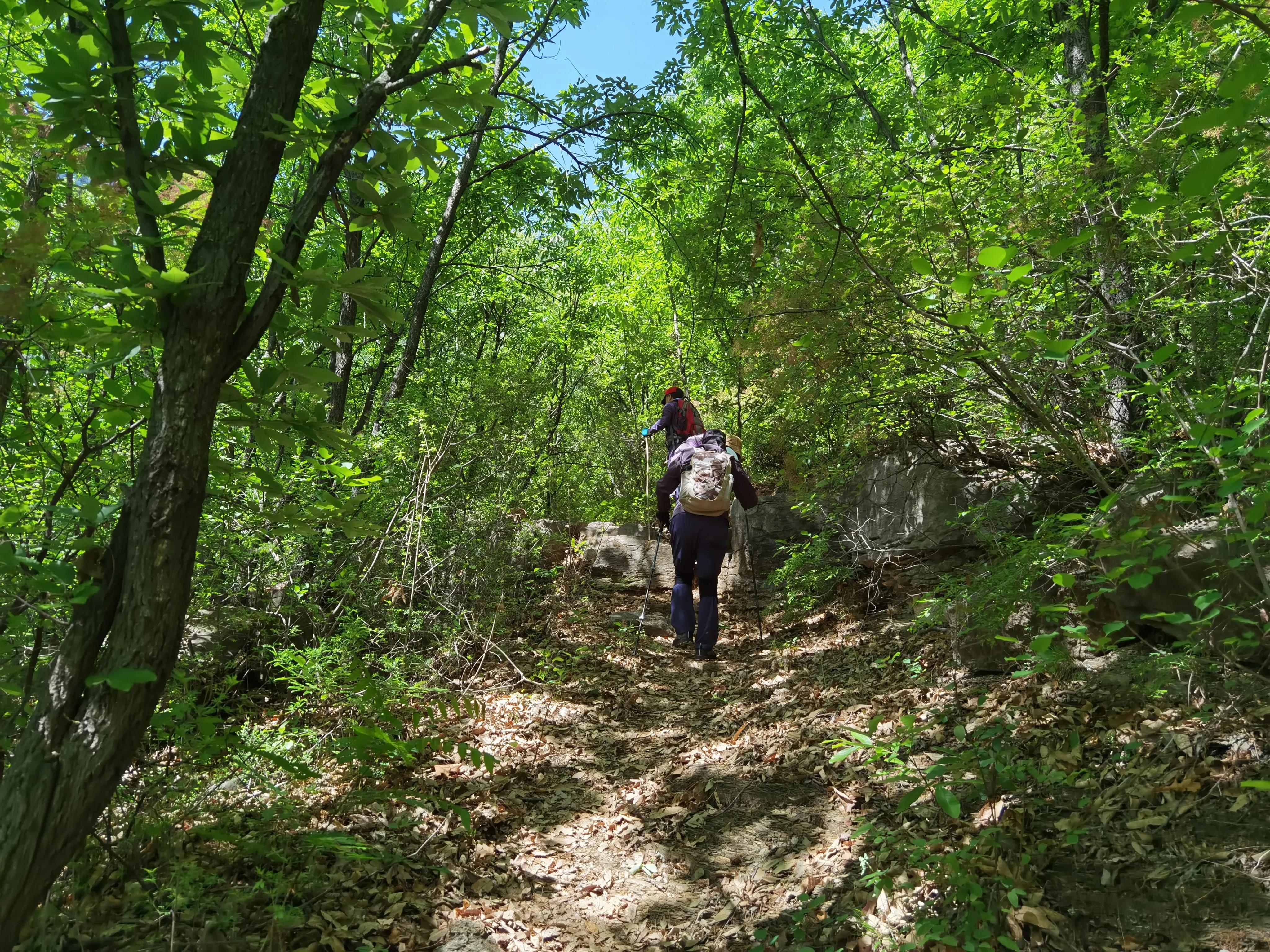 灵岩大佛山徒步,徒步灵岩山寺美篇