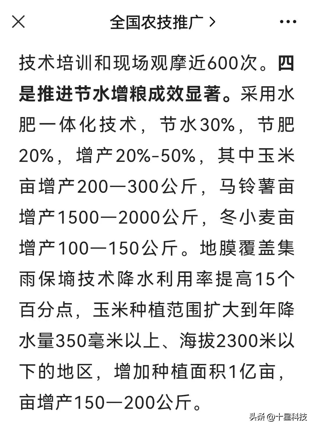 2021河南小麦品种对比图,泛麦803河南排名第一小麦品种