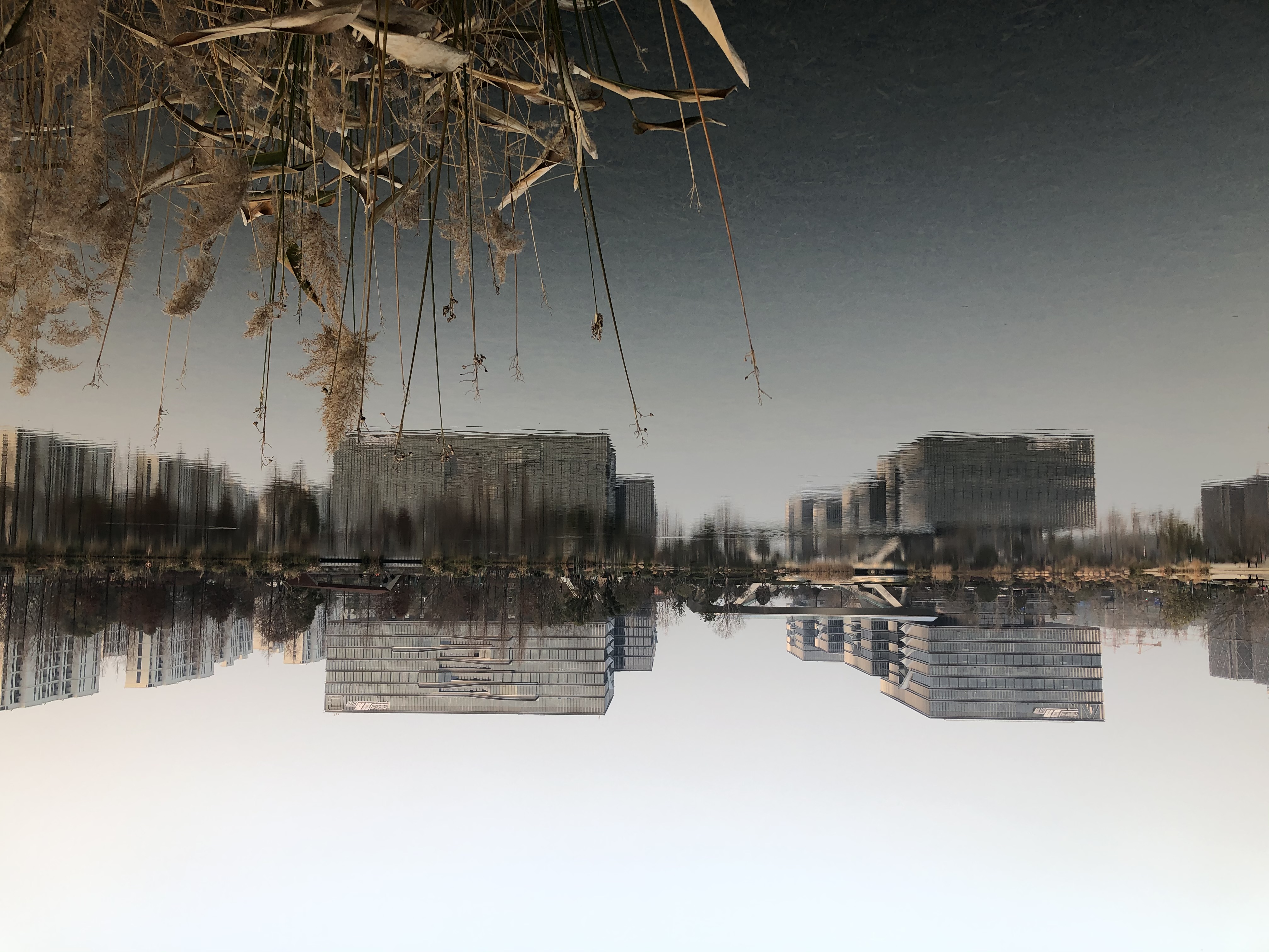 杭州最美的公园风景图片,杭州最美公园完整版