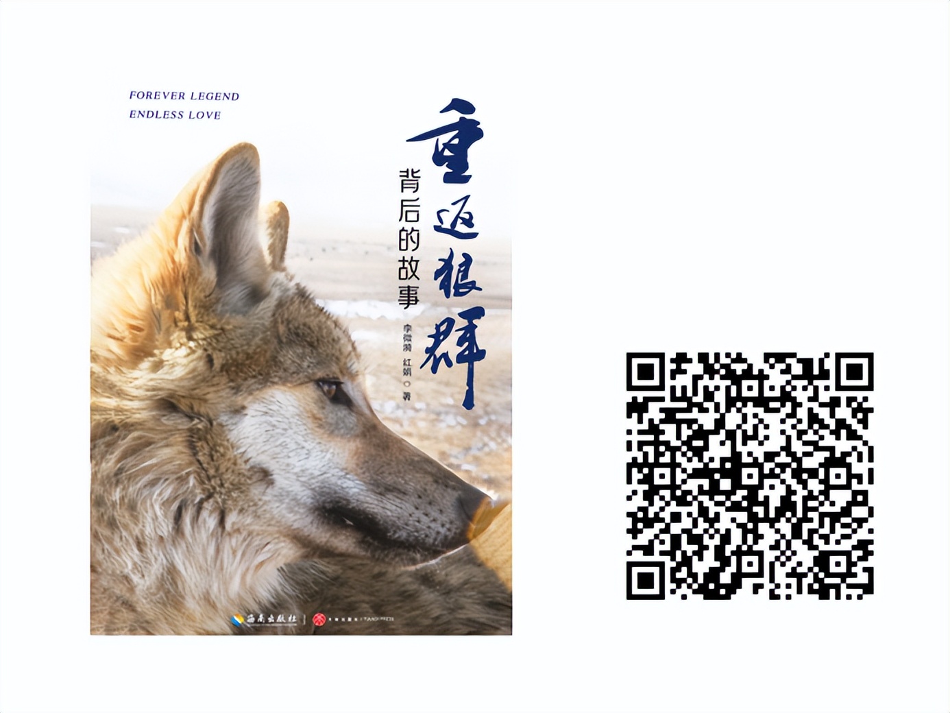 百馆荐书|万物有灵和谐共处——治愈系宠物书单