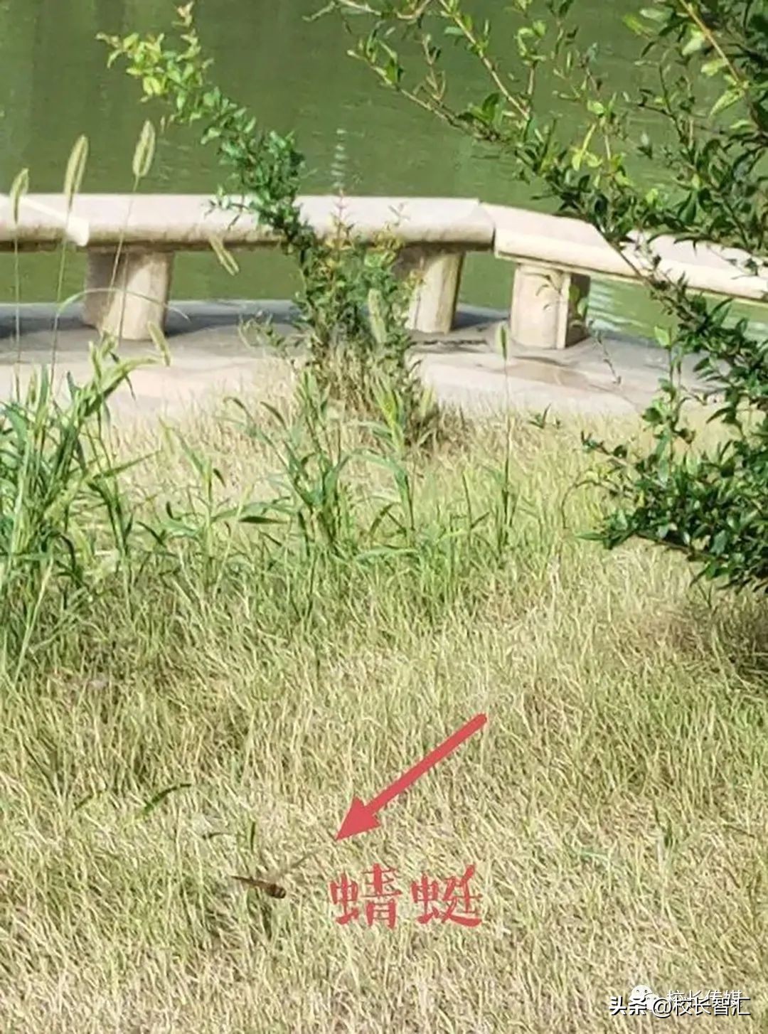 李瑞教课靠谱吗,李瑞训练方法视频