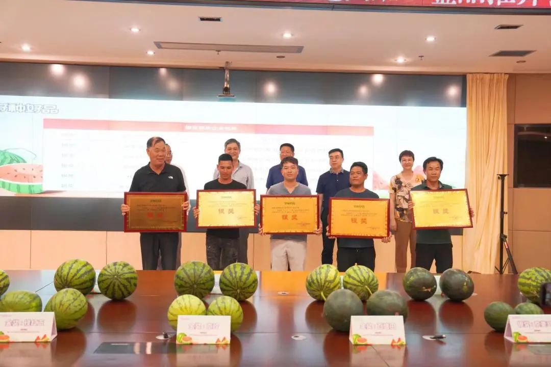 西瓜擂台赛开打，大奖究竟“瓜”落谁家？