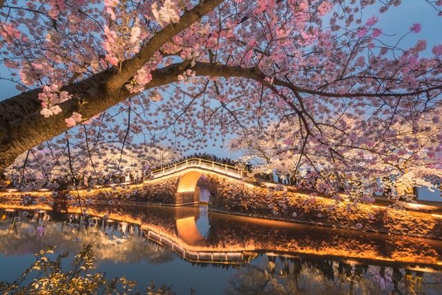 江苏十大旅游必去景点有哪些,江苏旅游必去十大景点推荐一下