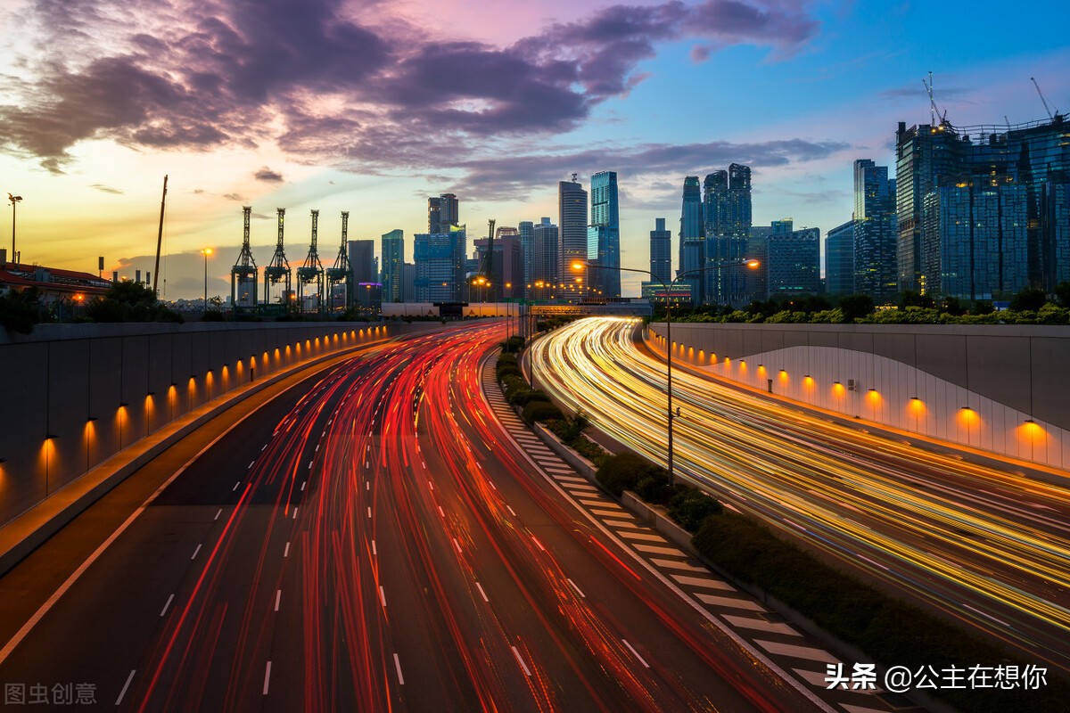 新加坡7个冷知识英文,世界上养猫最多的国家