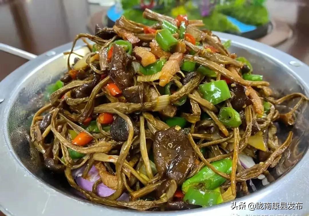 康养旅居风景区,康县康养小镇