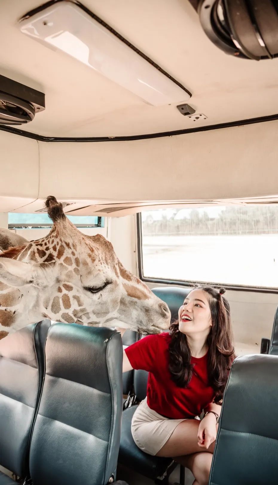 泰国曼谷旅游必去十大景区,泰国野生动物园亲子游