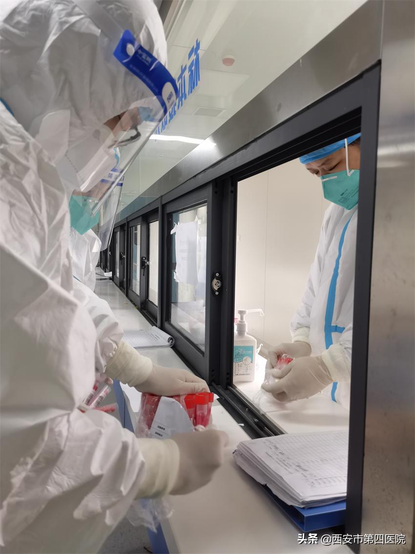 健康中国全民抗疫,秦岭四宝抗疫