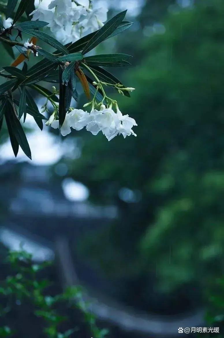 外汇投资方法和技巧,外汇的投资方式