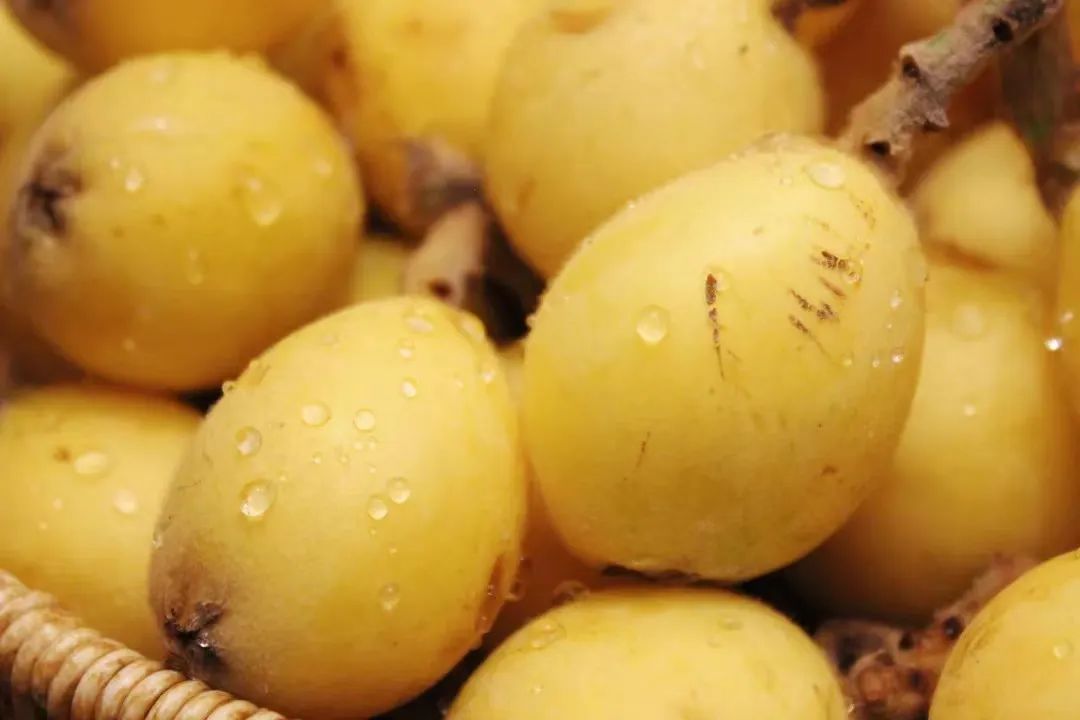 好消息半价机票,景区半价好消息怎么表达