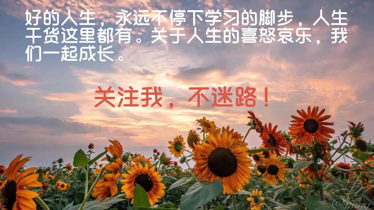 违规扣分了怎么恢复,被扣分后如何恢复至100分