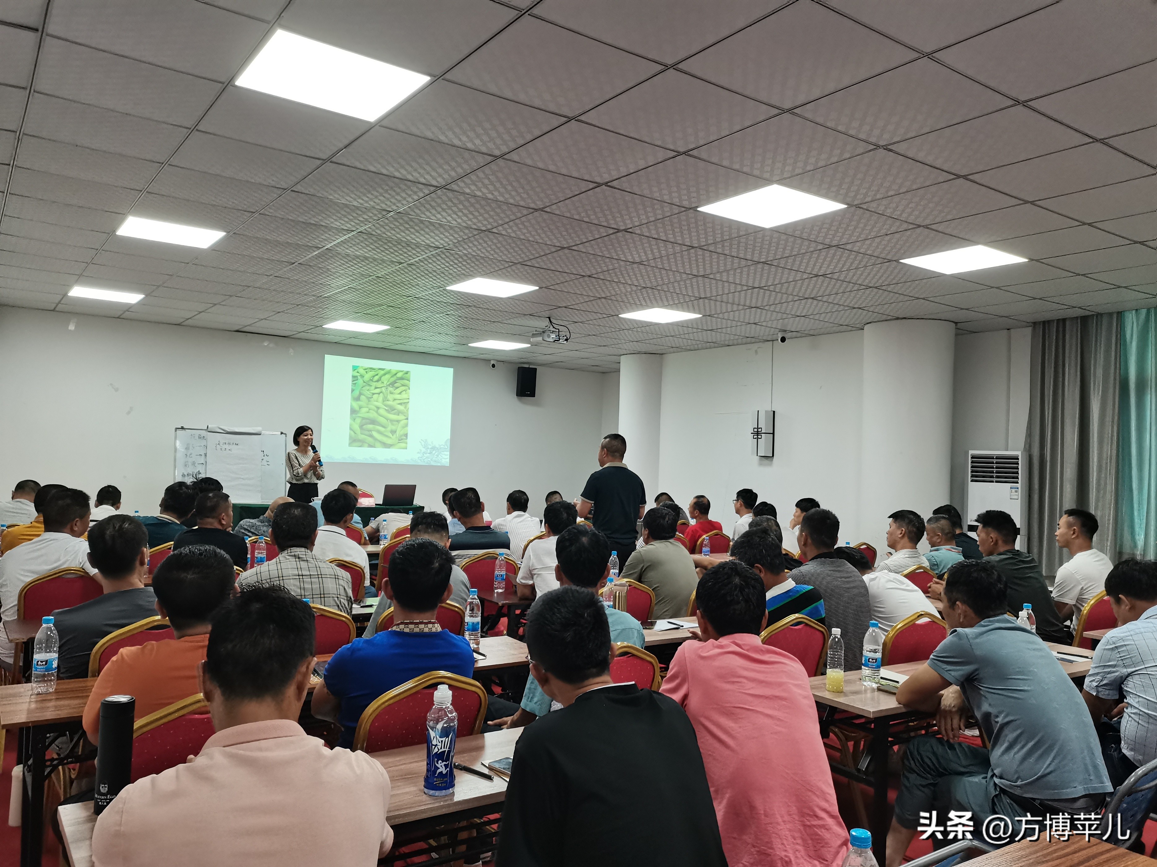 70后乡村振兴新农人,新农人2024年乡村振兴