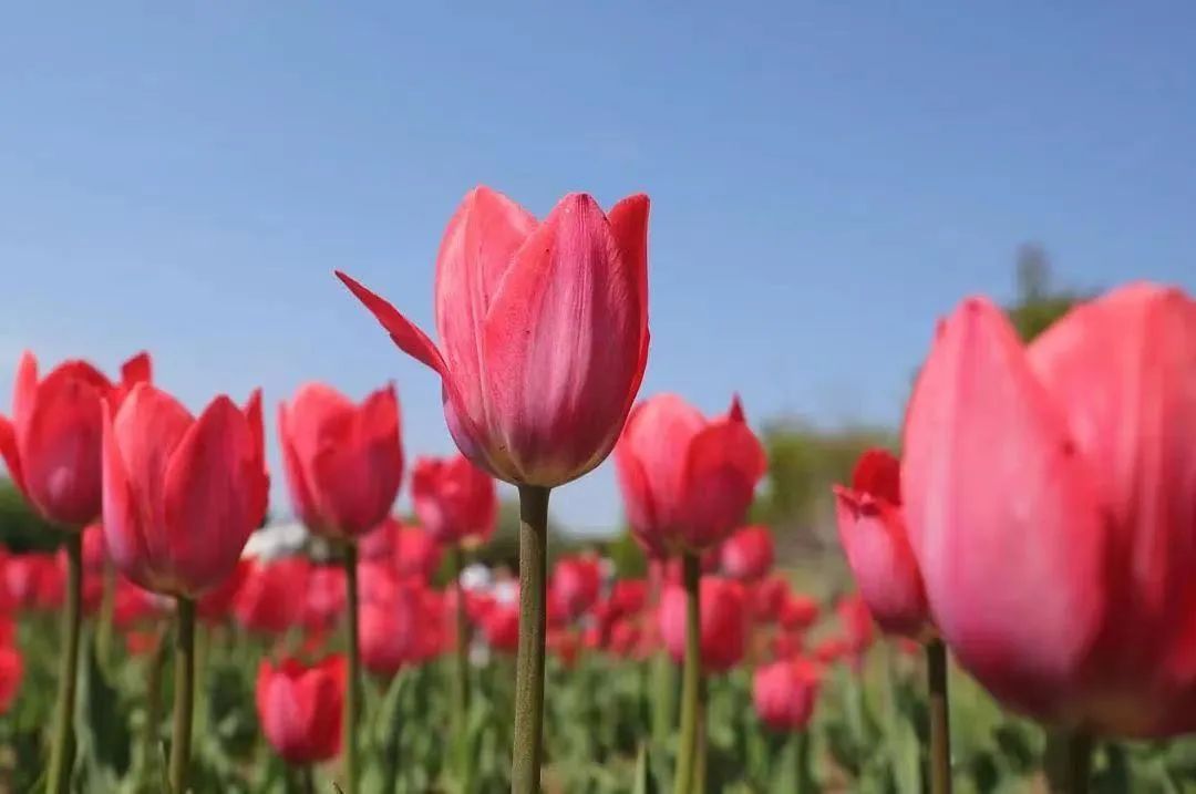 五月沈阳有什么活动,沈阳7月份大型活动