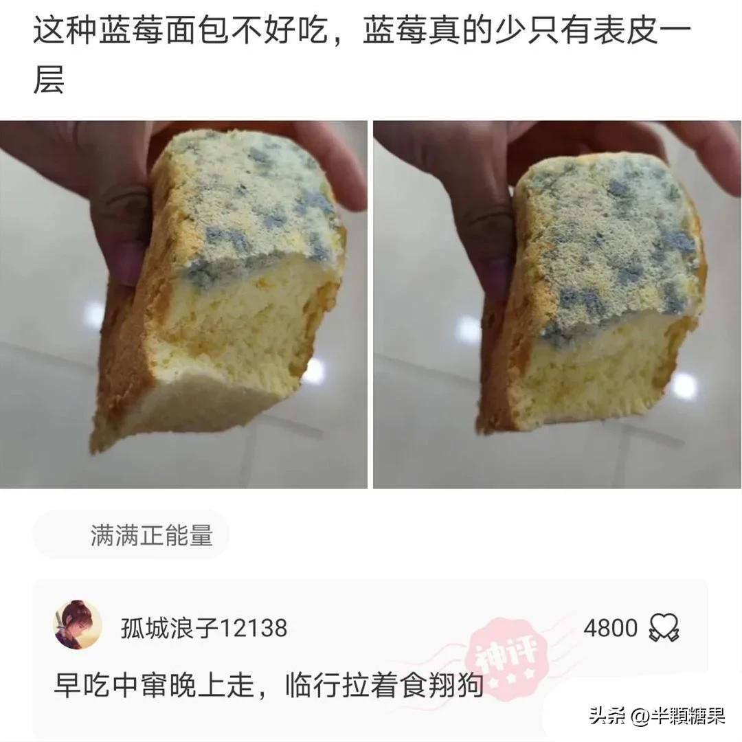 驾校的每一个点都有他存在的意义,驾校的一草一木都有它存在的意义