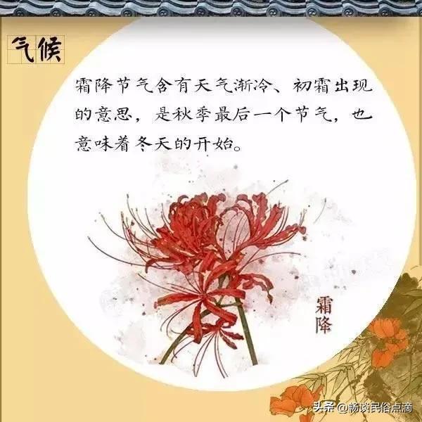 霜降和寒露是哪个季节的节气,霜降什么时间打霜