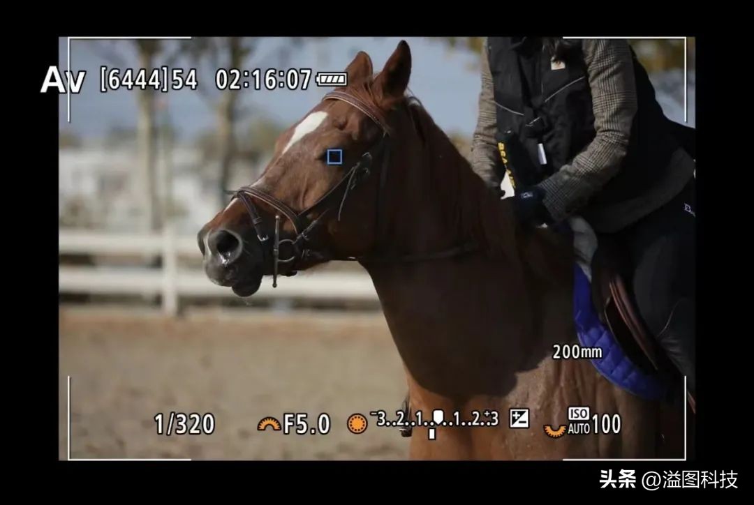 浣宠兘r6鎼厤rf351.8闀滃ご,浣宠兘r6mark2