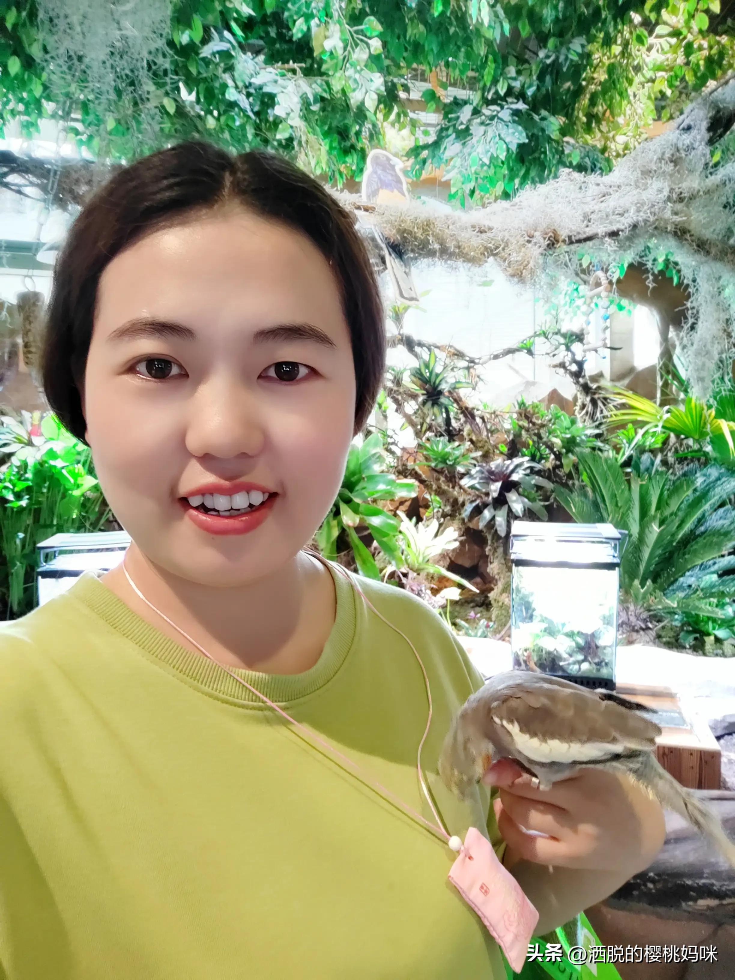 自我介绍模板,自我介绍简短有力幽默