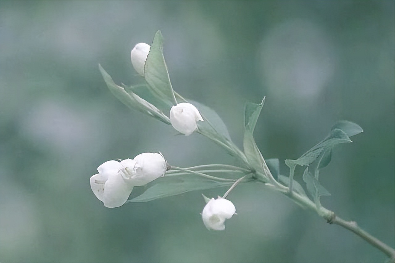 真爱你的男人断联后的表现,一个人爱不爱你断联一次就明白了