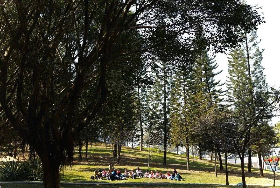 什么是优秀的幼师,什么是优秀的幼儿教师