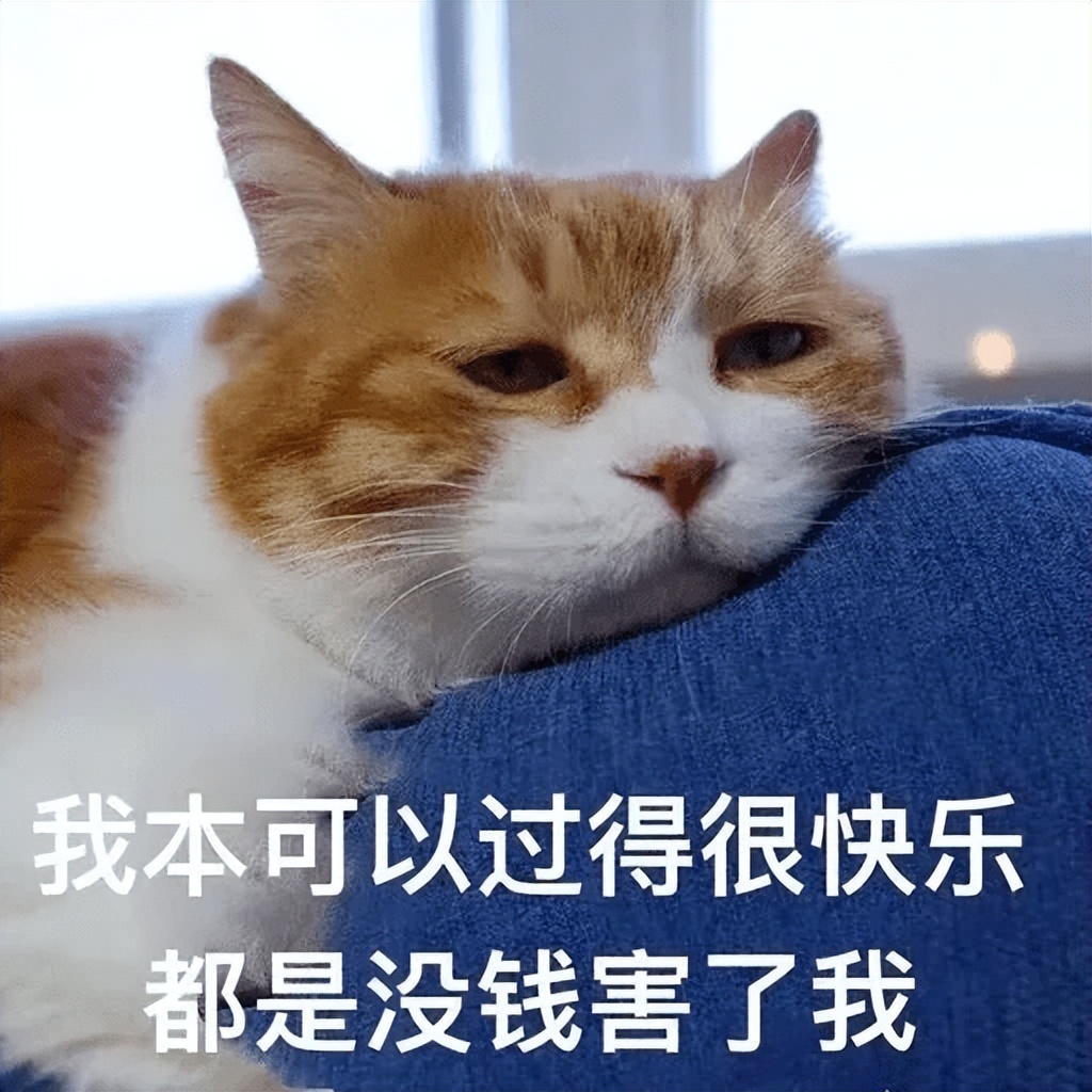一不小心成变态！“Ilovecat”不是“我喜欢猫”
