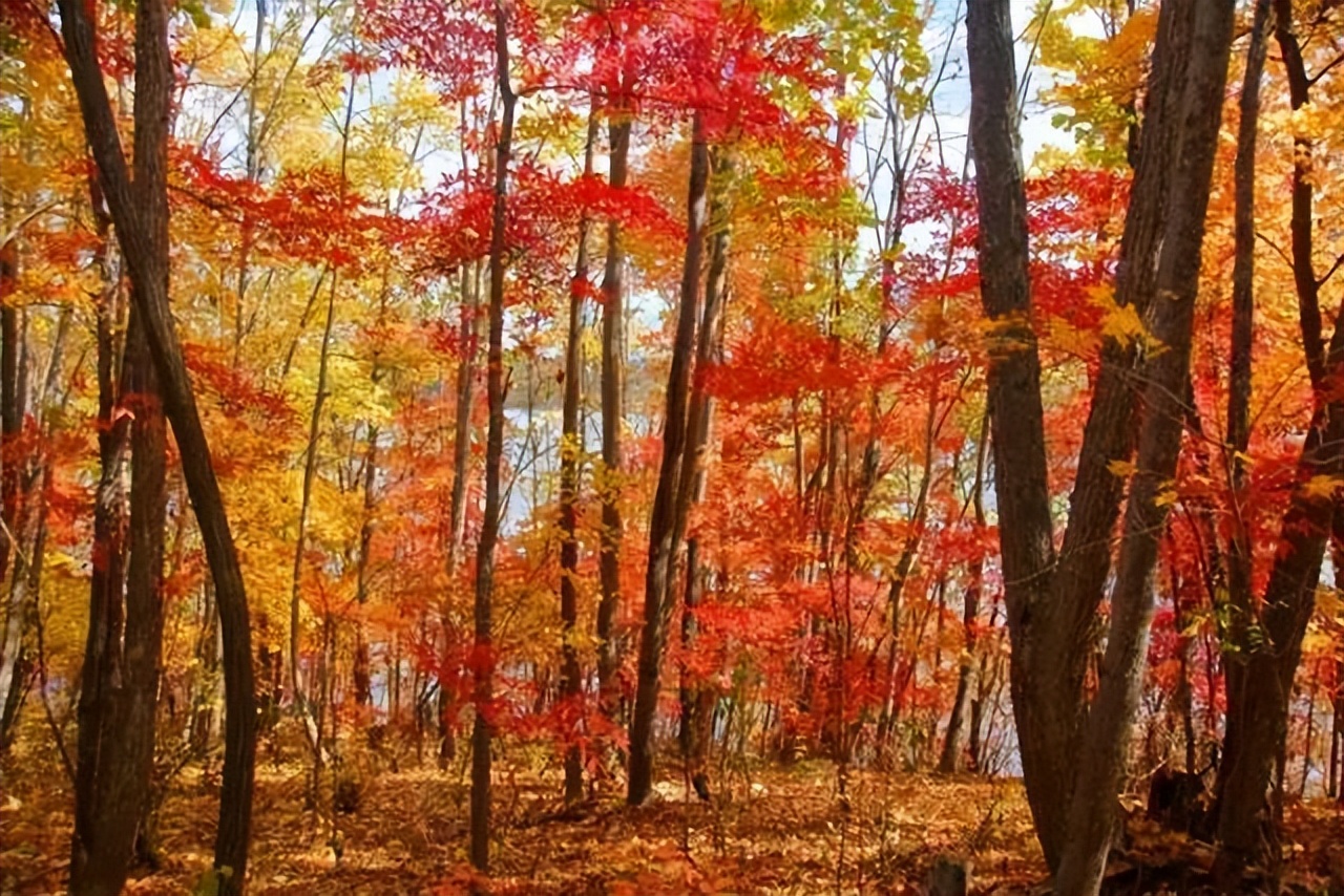 黑龙江省内自驾旅游线路推荐,黑龙江附近沿海城市开车自驾