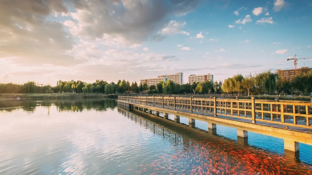 放弃985选北邮计算机值得吗,放弃985到北京交通大学好吗