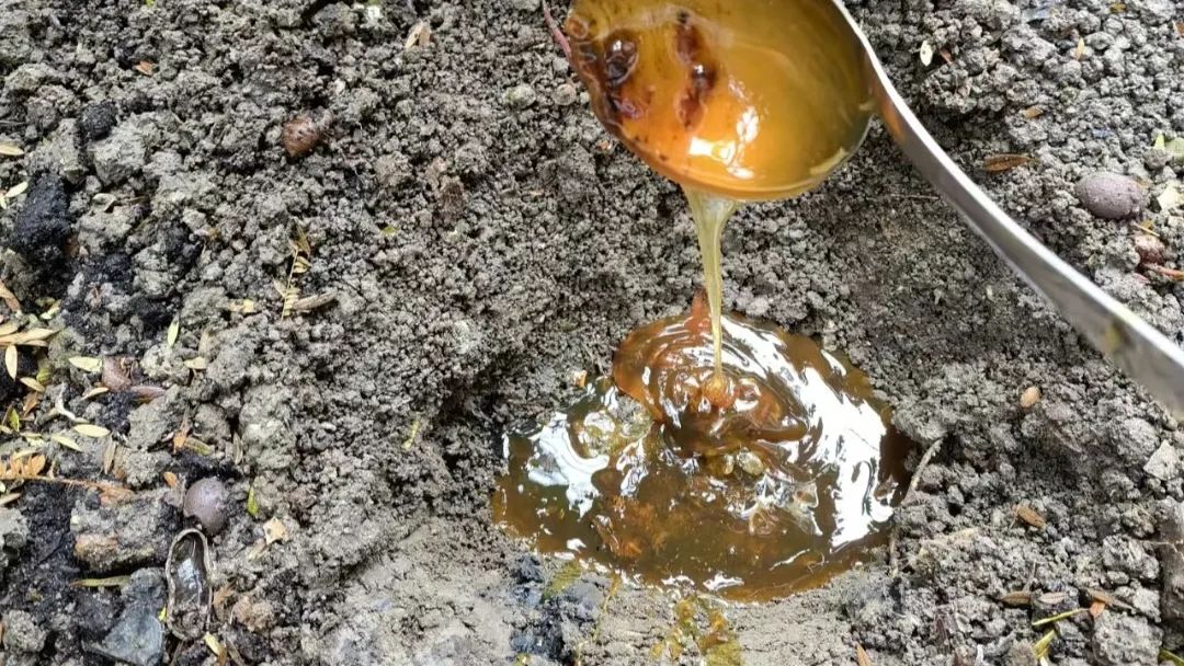 油烟机里的“废油”，一滴都不要倒掉，特别“值钱”，省钱又实用