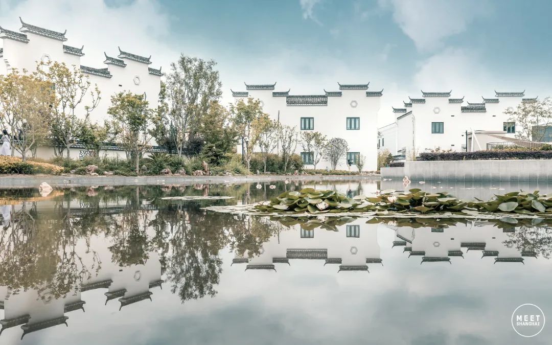 实用全上海532家公园攻略速速收藏,上海攻略必去的公园