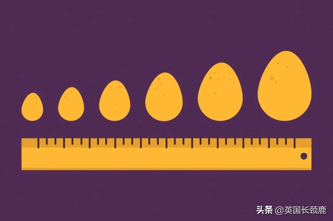 在英国鸡蛋怎么做才好吃,英国怎么选鸡蛋