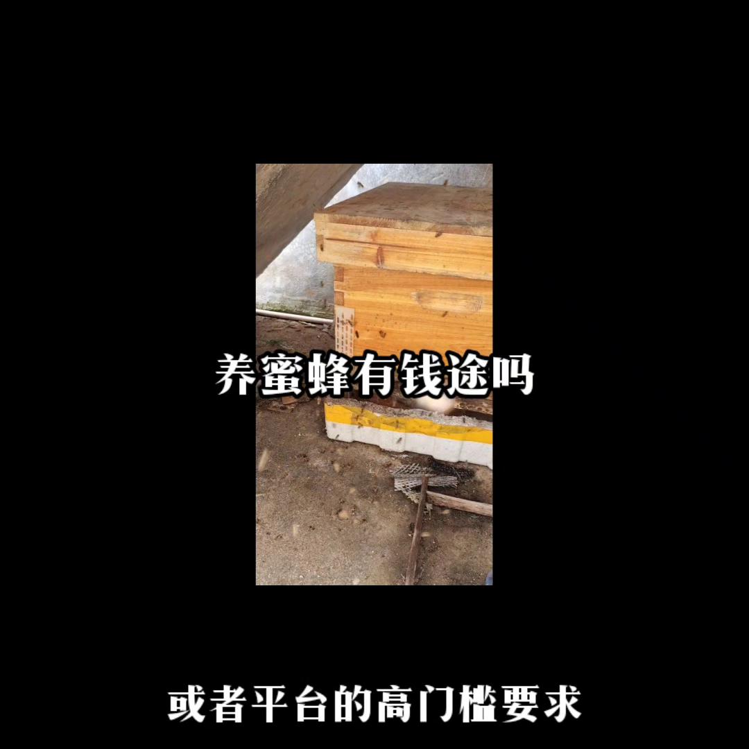 养殖蜜蜂100箱一年能赚多少钱,蜜蜂怎么养才会发家