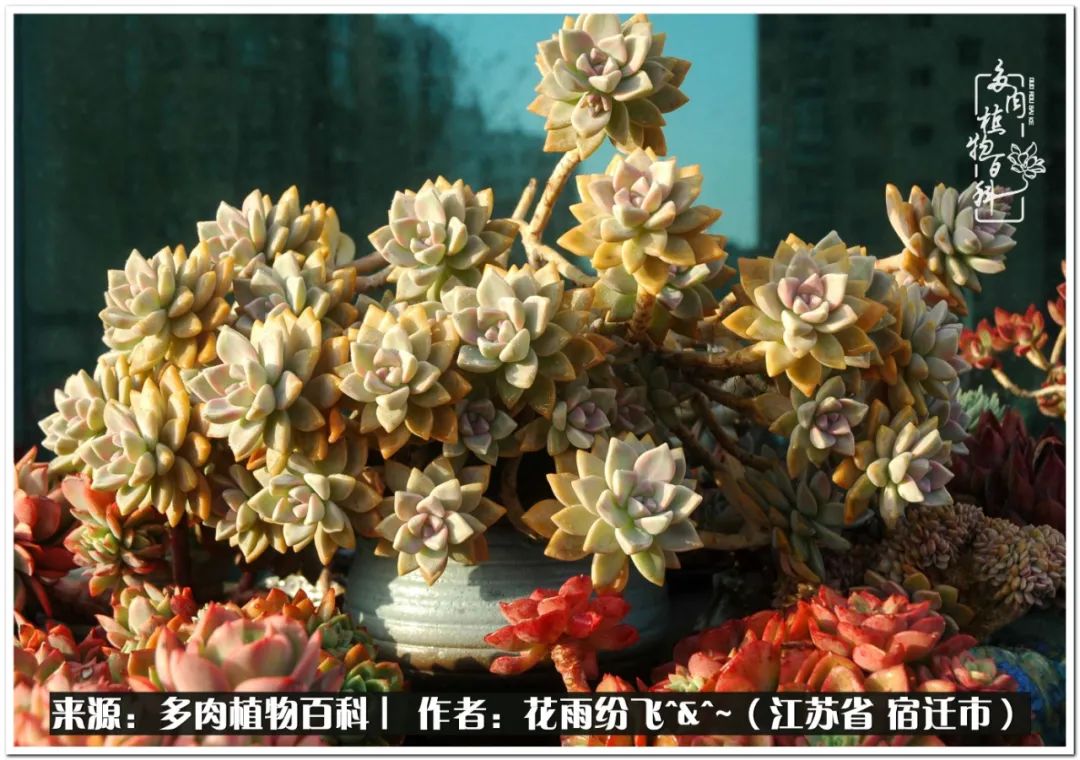 快乐的童年时光视频,回味快乐的童年美好的时光