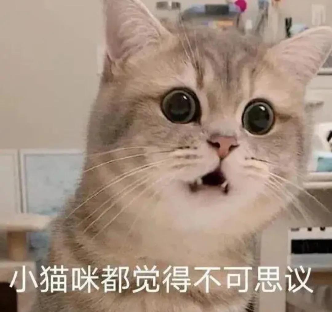 国足出局没有,国足彻底无缘卡塔尔世界杯