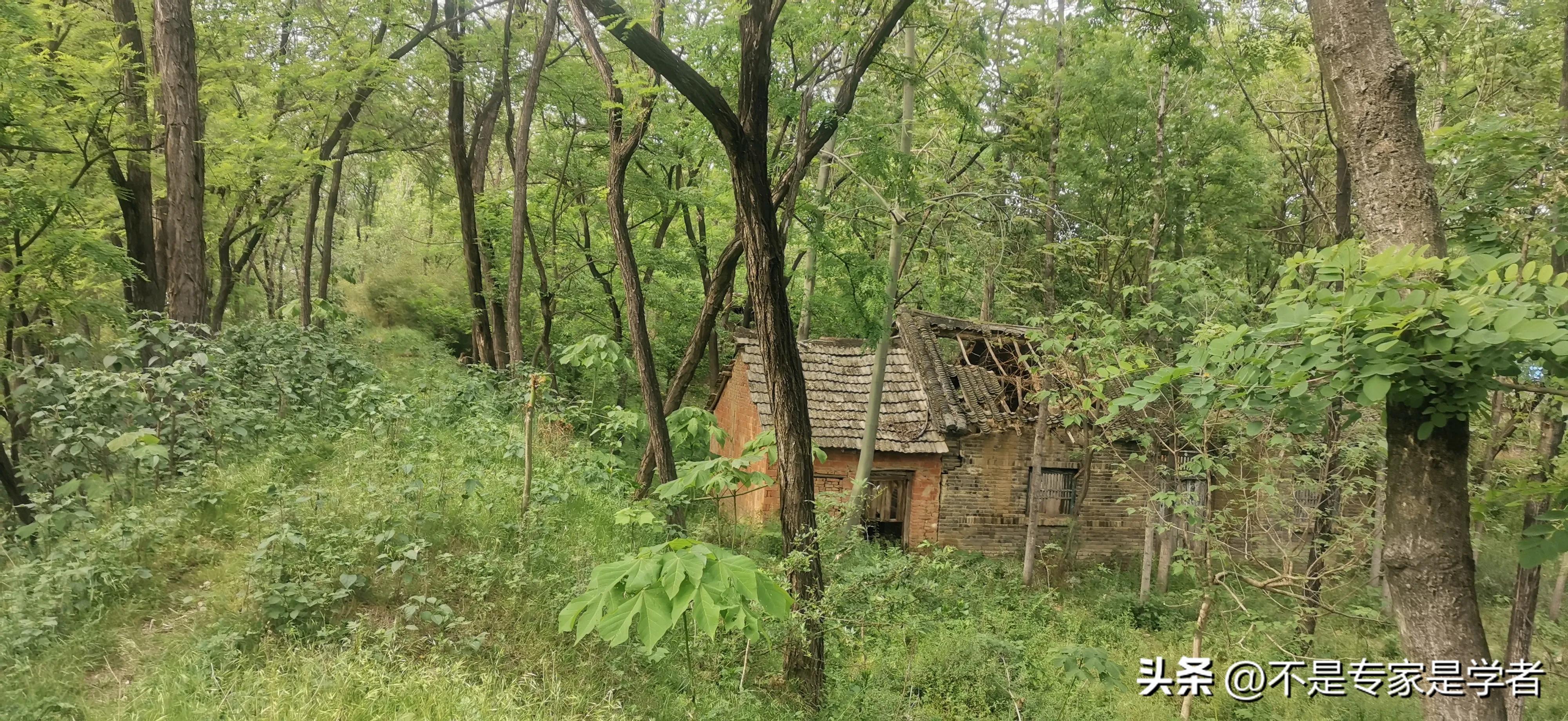 山东与河南版图有一个狭长地带,三省交界的地方河南安徽山东