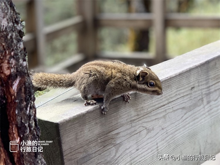 成都周边最高的观景山,日出成都雪山
