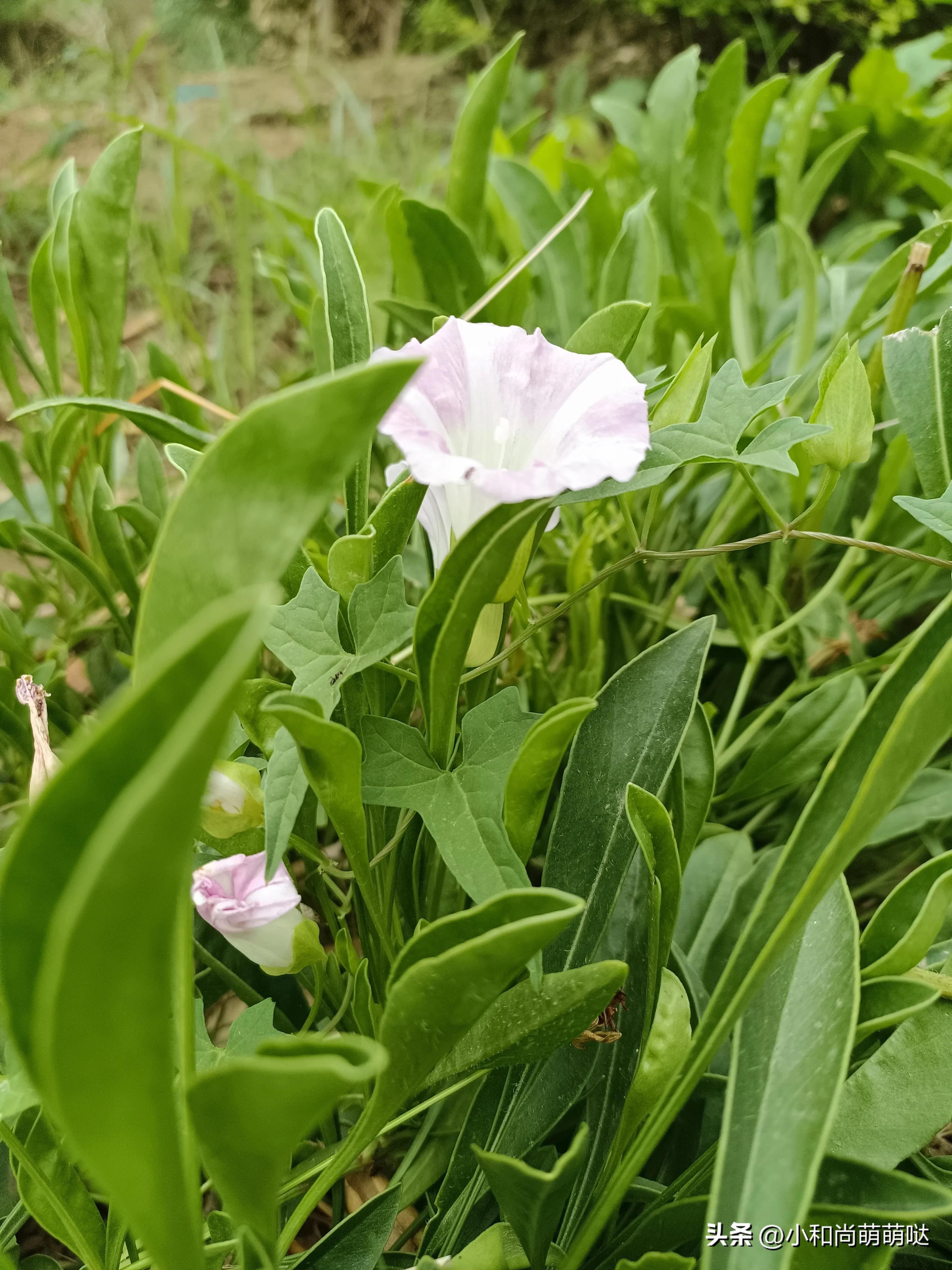 结婚早上吃席是什么礼数,喜宴吃席什么讲究和礼仪