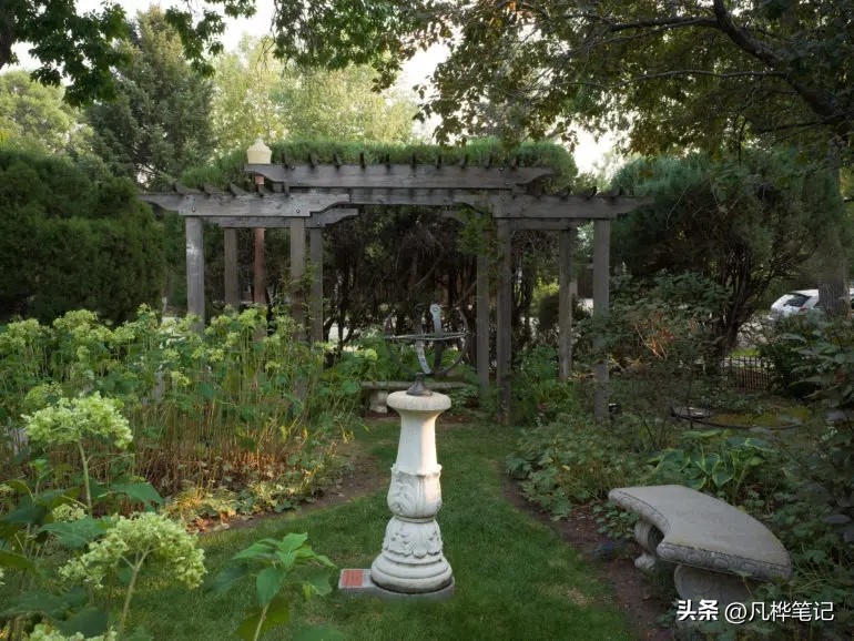 哈苏x2d100c视频,哈苏x2d100c与50c区别