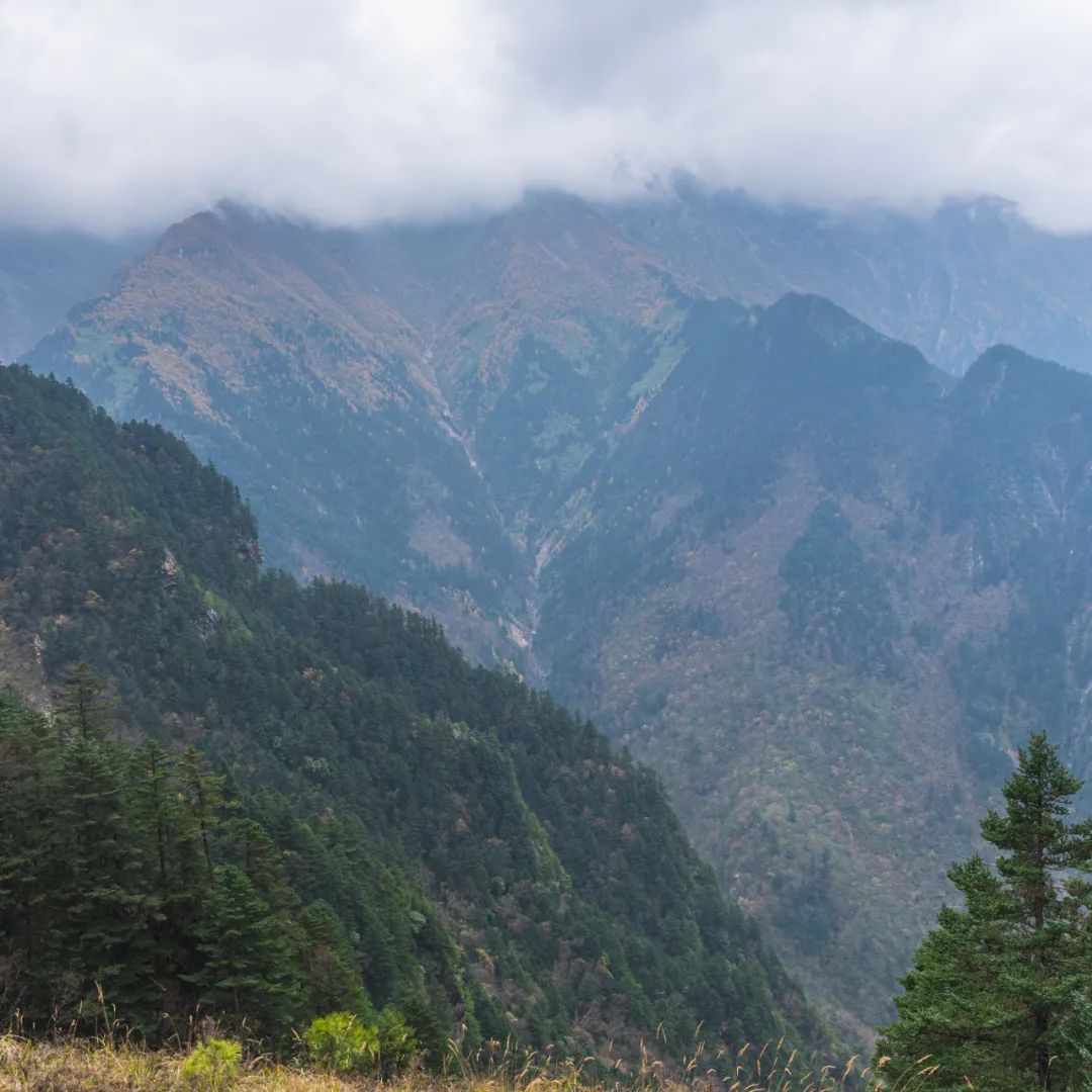 登太白山感受,太白山景区登顶拔仙台