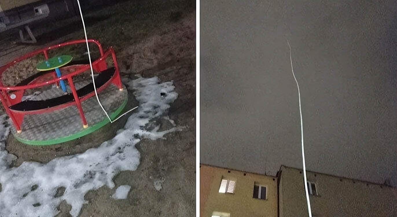 有没有人觉得猫头鹰长得很可怕,猫头鹰真正的照片